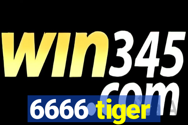 6666 tiger